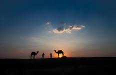 4 Days Golden Triangle Tour with Taj Mahal Sunrise!! Tour