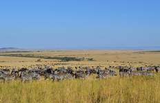 7 Days Kenya mid range safari and Beach Holiday Tour