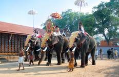 Circuit Circuit romantique de 12 jours dans le sud de l'Inde au départ de Kochi - tout compris