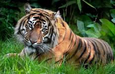 Circuit Triangle d'Or privé avec safari animalier à Ranthambore et Varanasi - 10 jours