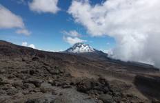 Shira Route - 7 Days Tour