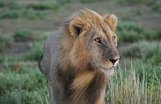 Circuit Circuit de 7 jours avec hébergement à Sossusvlei, la côte et Etosha