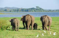 Circuit La touche de profondeur du Sri Lanka