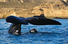 Circuit Aventure complète en Patagonie (22 jours)