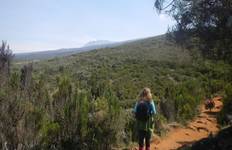 Circuit Ascension du Kilimandjaro par la route de Rongai 7 jours