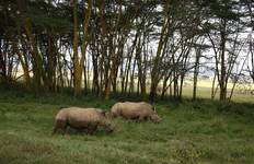 Circuit 8 jours - Les grands classiques du Kenya