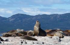 Patagonia In Style - 14 days Tour