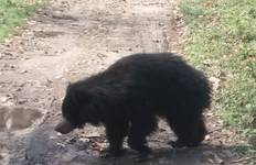 Kathmandu - Chitwan Nepal Tour - Experience Heritage & Wildlife Safari