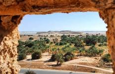 Desert Tour with Luxury Camp: 8 Days tour Cairo & Oasis & Luxor Tour