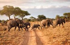 Tansania Camping Safari - 4 Tage Reise