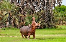 5-Day Private Lodge Safari and Cultural Experience Tour