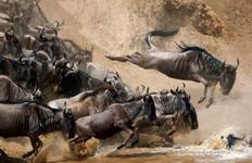 6 Days: Budget Camping Safari Tour Tanzania