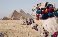 Giza, Cairo or Alexandria Custom 2 Tours