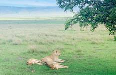 Circuit Safari de 3 jours aux chutes Victoria et à Chobe