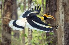Circuit Circuit 8 jours au Népal (Katmandou, Pokhara, Lumbini, Chitwan)