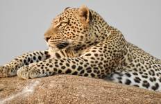 9 - Days Tanzania Family Safari Tour