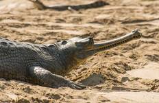 Circuit De Delhi à Katmandou (from New Delhi to Katmandou)