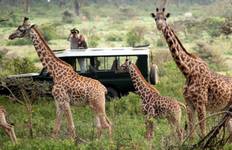Circuit Expédition essentielle de 15 jours au Kenya et en Tanzanie