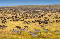 3-Day Maasai Mara Safari at Sopa Lodge from Nairobi Tour