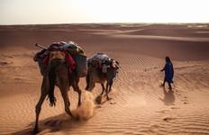 Circuit Randonnée à dos de chameau dans le désert du Maroc : 4 jours d'expérience au Sahara
