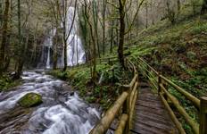 "Camino de Santiago" (Way of St James): Portuguese Way from Tui -100 km Tour