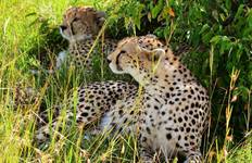 Circuit Safari côtier à Amboseli, Tsavo Est et Tsavo Ouest - 5 jours