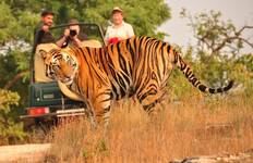 Circuit Circuit du Triangle d'Or avec Ranthambore