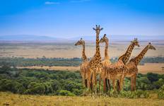 Kenia & Tansania Wildlife Safari 11 Tage Reise