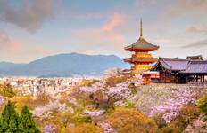 Circuit Japon Express