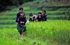 14 DAYS VIETNAM FAMILY HOLIDAY Tour