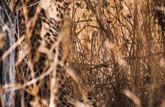Circuit Safari de 5 jours sur la migration du Serengeti