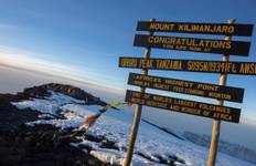 Circuit Ascension du Kilimandjaro - Route du Lemosho - 8 jours