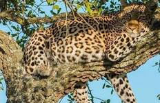 Lake Manyara National Park Full-Day Tour from Arusha