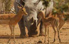 Full-Day Trip to Ngorongoro Crater From Arusha Town Tour