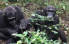 Circuit Parc national Queen Elizabeth en Ouganda - 3 jours