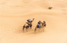 Tunisia 7 Day Desert Camel Trek Tour