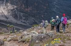 Circuit 8 jours d'ascension du Kilimandjaro par la route de Lemosho