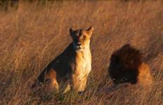 7 Day Kenya and Tanzania combine safari Tour