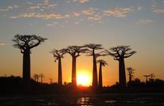 Circuit Madagascar 9 jours - Circuit Baobabs et Lémuriens