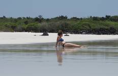 Galapagos Harmony (7 Days) Tour