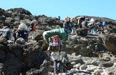 1 Day Kilimanjaro Hiking - Machame Route