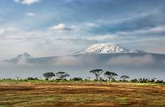 Circuit Kilimandjaro Lemosho Summit and Camping Safari