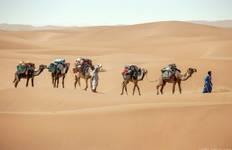 Kamel Trekking in Marokko - 7 Tage (nach Erg Smar) Reise