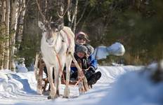 Aurora & Glass Igloo Explorer - 5 Days Tour