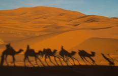 7 Days Sahara Desert Tour from Marrakech
