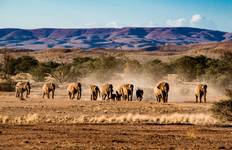 Etosha Express Safari 3 Days / 2 Nights (Camping) Tour