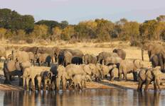 Best of Zimbabwe Experience 6 Days 5 Nights (Comfort Plus) Tour