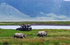 Circuit 3 jours à la découverte des Big 5 en Tanzanie