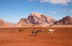 Circuit 5 jours 4 nuits Circuit du meilleur du sud de la Jordanie au départ de l'aéroport d'Aqaba (AQAPT-JHT-002)