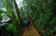 Costa Rica: Monteverde and La Fortuna Tour